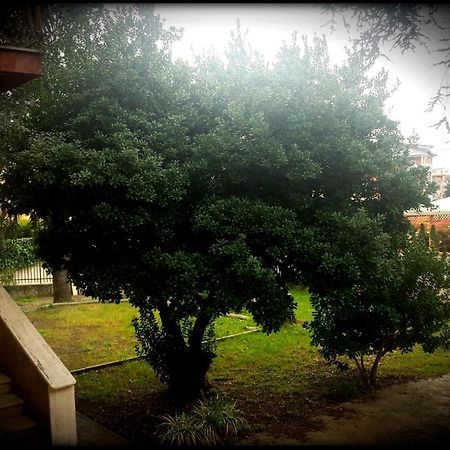 La Casa Degli Oleandri Hotel Roma Ngoại thất bức ảnh