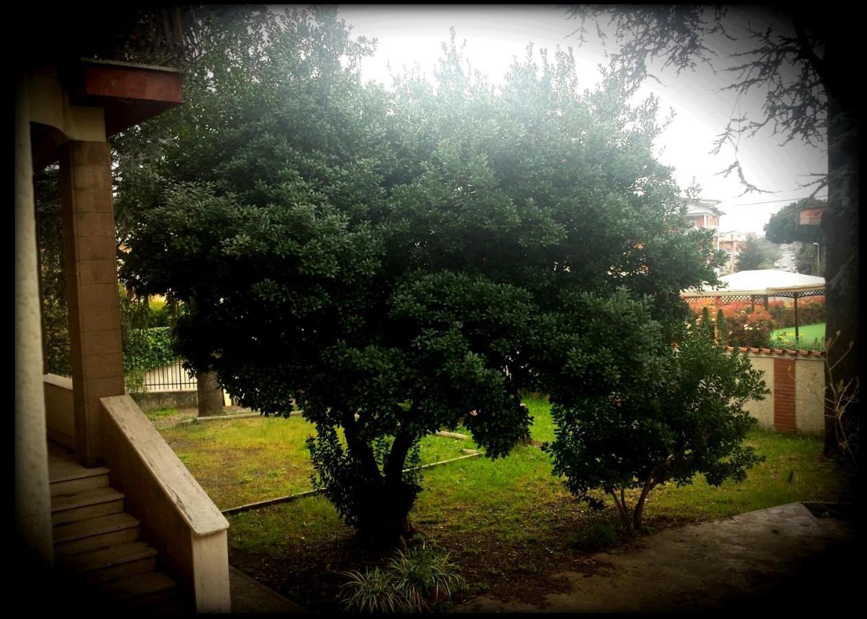 La Casa Degli Oleandri Hotel Roma Ngoại thất bức ảnh